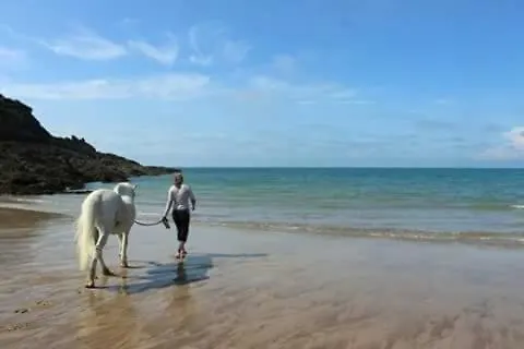 Luxury tent Nuit En Tente Western A 500M De La Plage Hotel Cancale